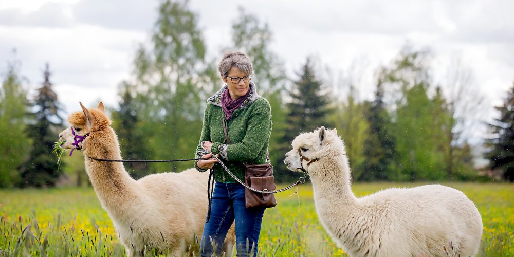 Birgit Blumrich mit ihren Alpakas